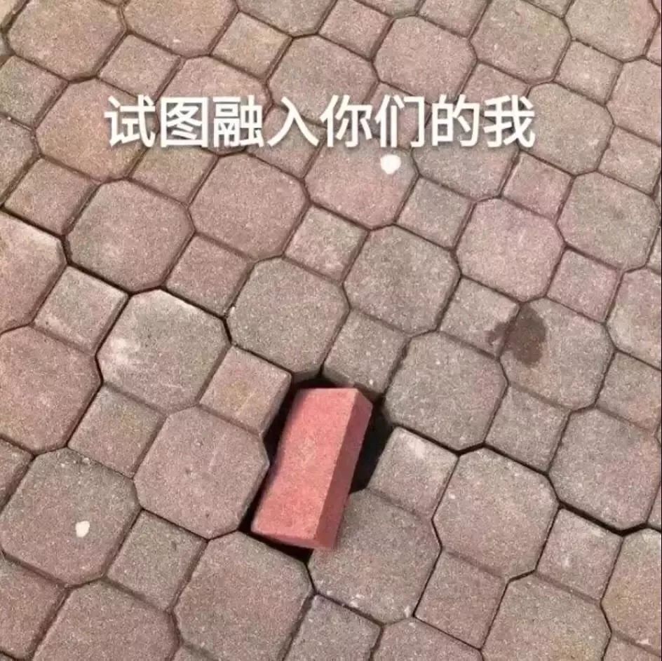 00后说的话90后听不懂,00后的黑话宝典解读