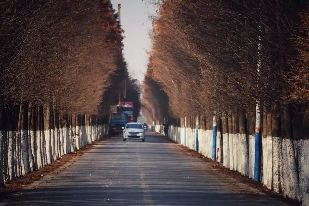 所有人奔向城市,她选择回到浦南