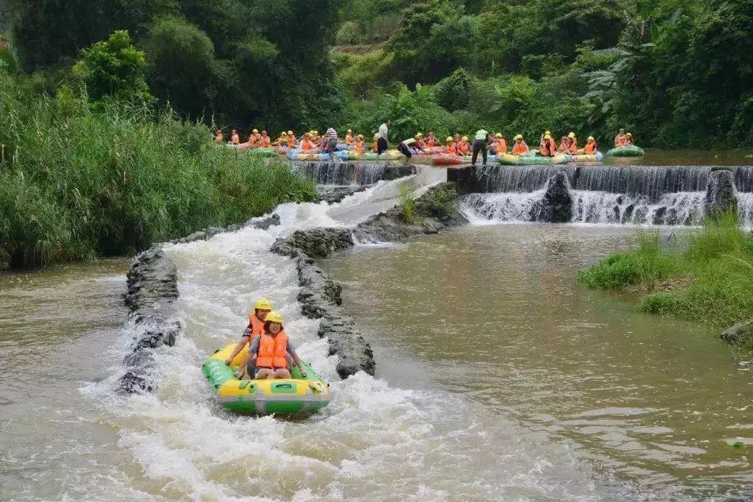 南宁哪里有摘火龙果的地方,南宁周边哪里有火龙果摘