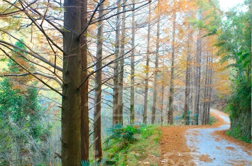 竹溪，又有一个新“名字”！