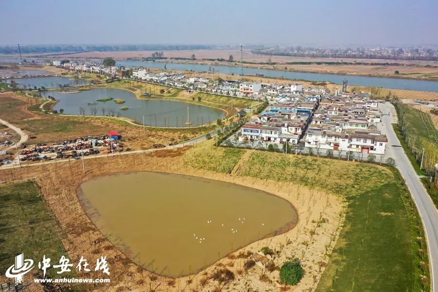 颍上庄台变身记：“穷洼地”逆袭成为“绿富美”