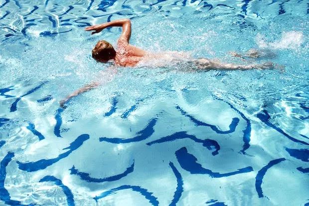 大卫·霍克尼国际画坛艺术大师,大卫霍克尼作品价格