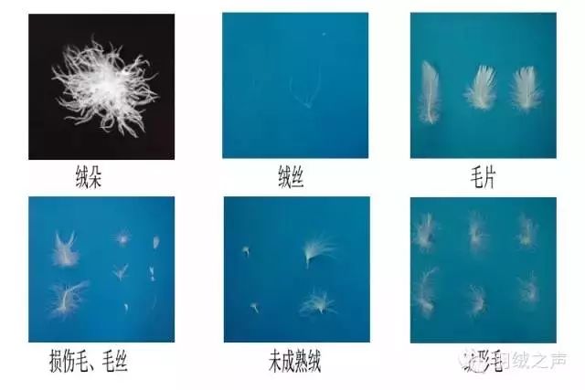 自充绒羽绒被各个格子之间会跑绒,羽绒被跑绒怎么解决