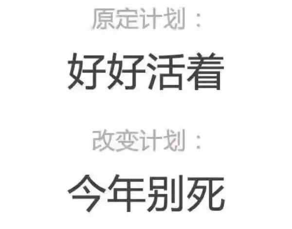 加拿大女教练视频,加拿大二级教练考试