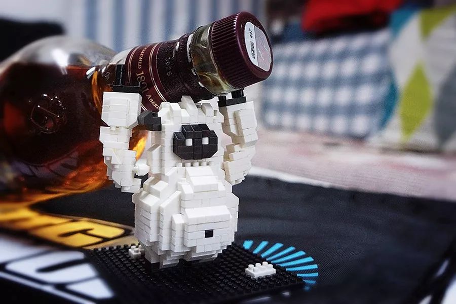 加拿大二级教练,加拿大二级滑雪教练培训