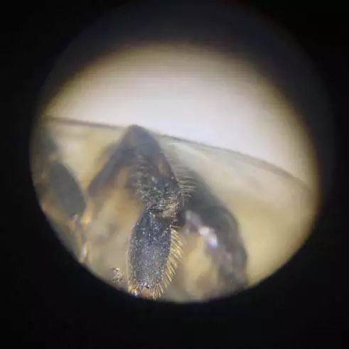 双12给宝宝囤的宝宝用品,双12宝宝必买清单