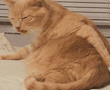 国货药妆护肤品水乳,口碑最好的药妆护肤品