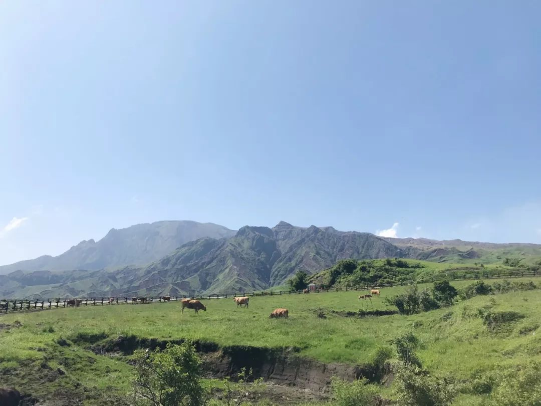 一条特惠｜无线充电保温杯，日本滨田古法酱油