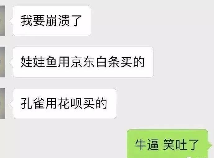 那一夜他喝多了，下单了一只小香猪、一只母孔雀、一条娃娃鱼，醒来后……