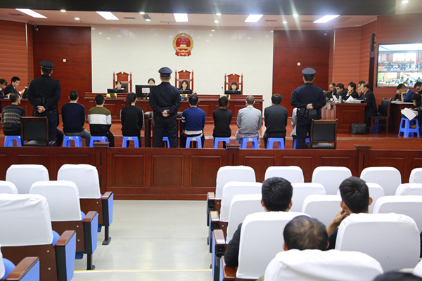 鱼峰法院公开审理莫某飞等11人涉嫌*款贷**诈骗案