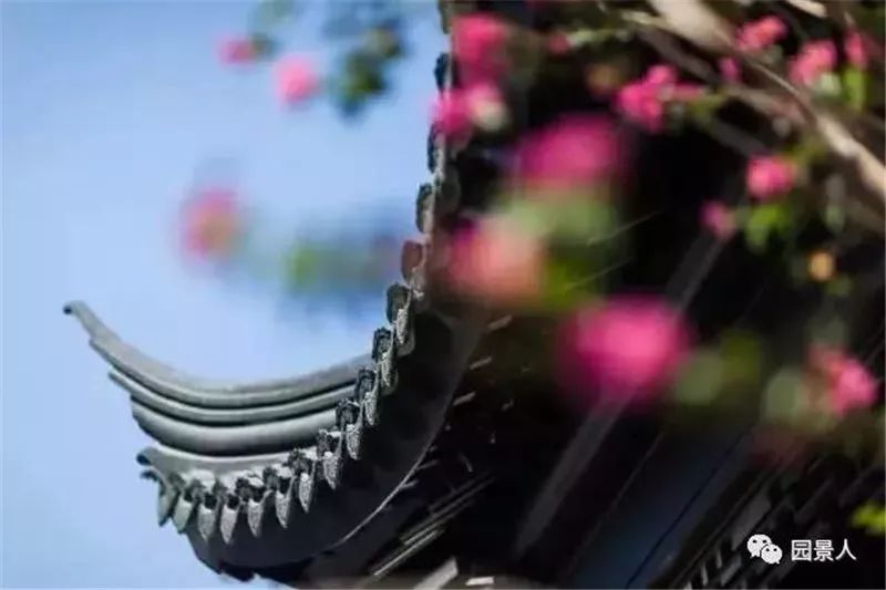 中国古典园林的诗画意境,中式园林画意