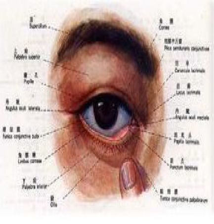 介绍一下红眼病,儿童红眼病症状