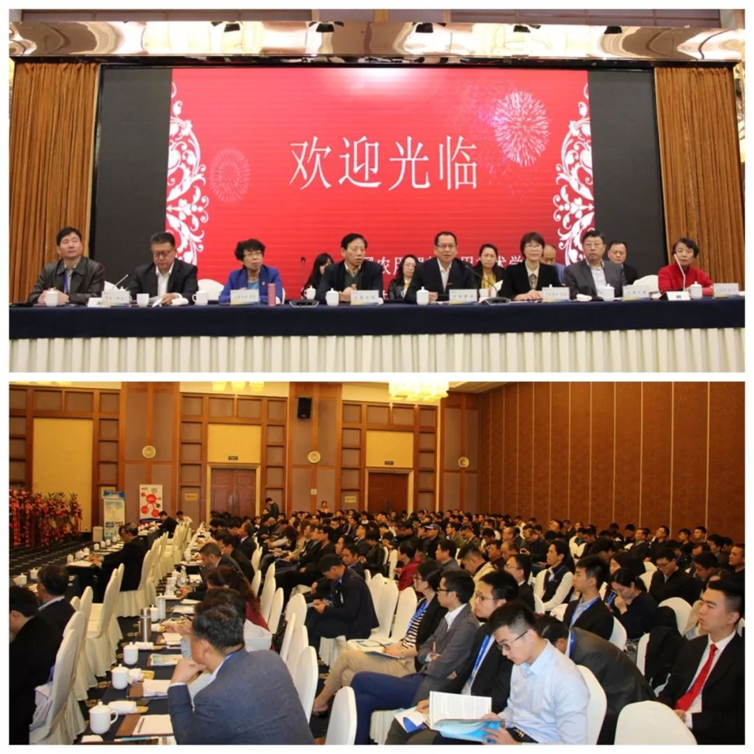 农膜创新爆发巨大潜力：增产20%、早上市、还能降低病害！