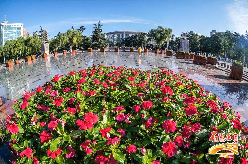 七夕好玩的地方石家庄,七夕情侣约会的地方石家庄