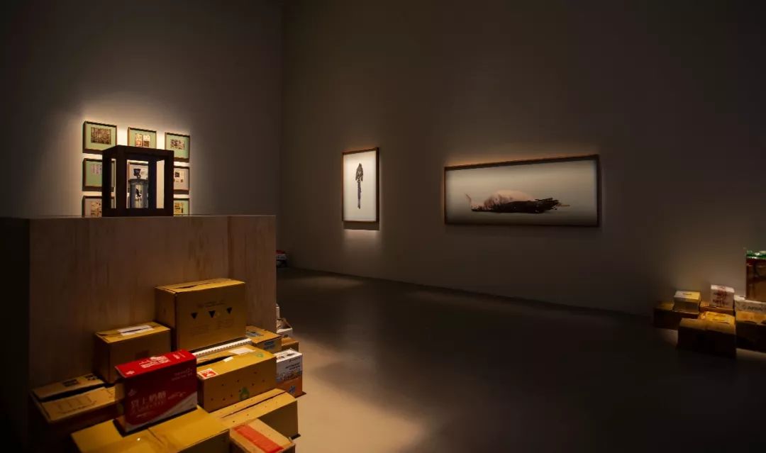 2023凤凰双年展,凤凰艺术展台北