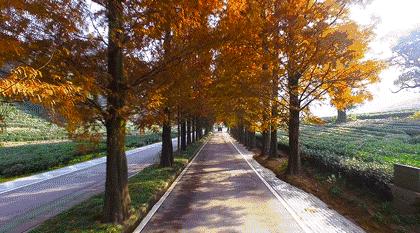 自称“射鸡师”！这个“不太正经”的设计师把酒店开了半个中国，今年终于到杭州了！