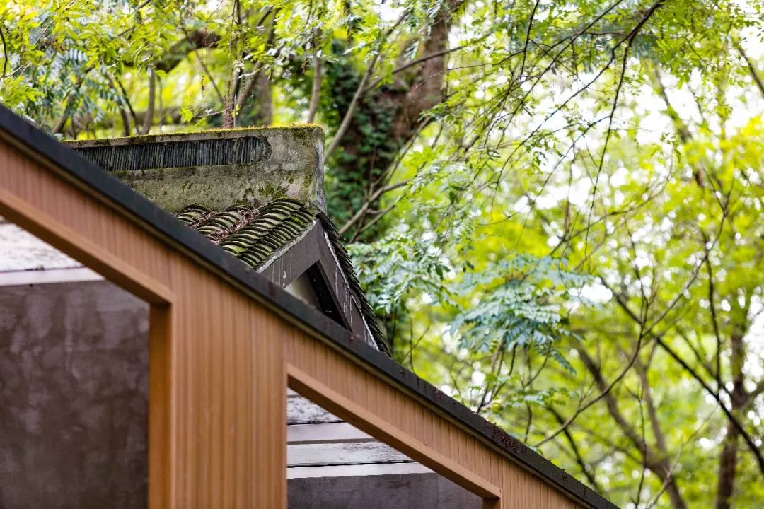 自称“射鸡师”！这个“不太正经”的设计师把酒店开了半个中国，今年终于到杭州了！