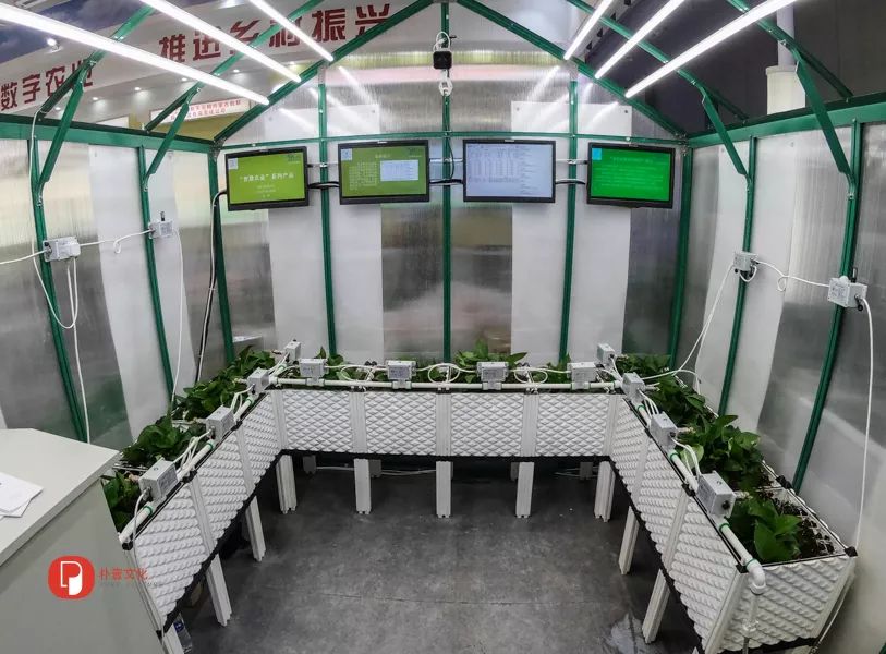 「文明旅游」未来农业应该是啥样？｜快来看全国新农民新技术创业创新博览会