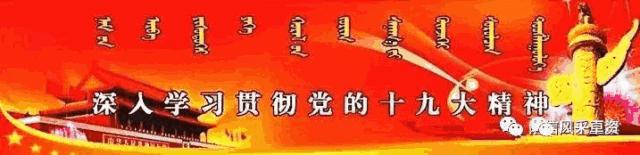 赞牛原切牛排,赞牛最好的一首诗