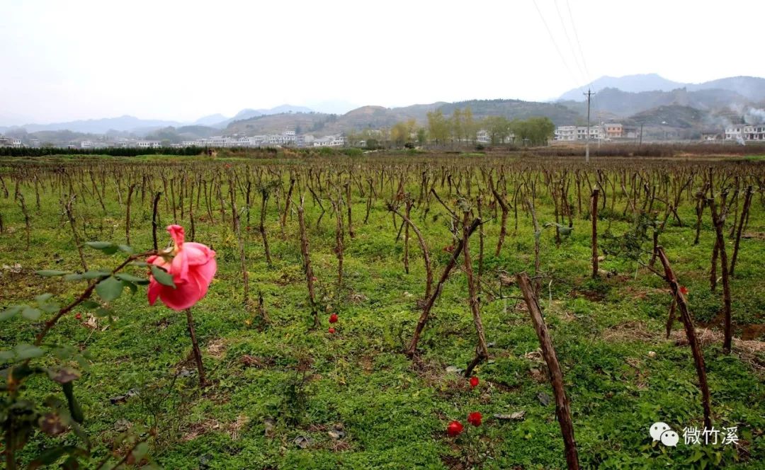 蒋家堰高清风景照片,蒋家堰风景