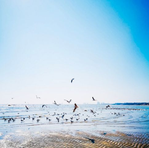 北京旅游攻略5天自驾游推荐,来北京自驾游攻略及费用