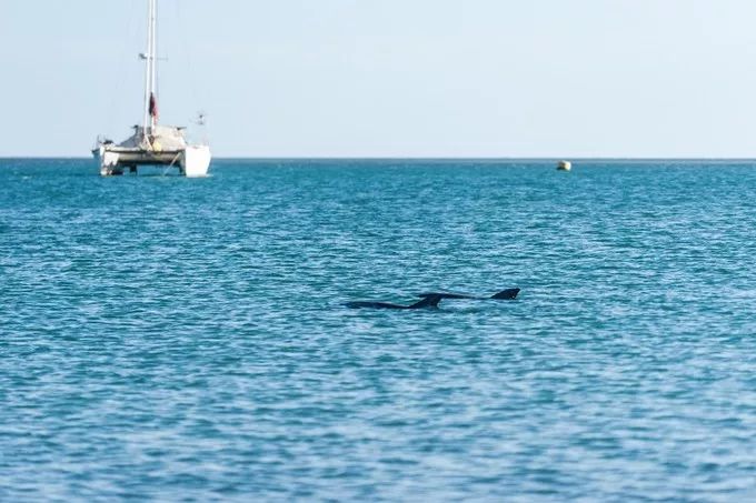 n个理由,十个理由告诉你为什么要独自旅行
