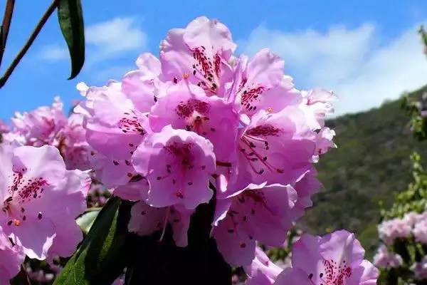 以时光之名久伴你昆明,陪你度过漫长的岁月云南