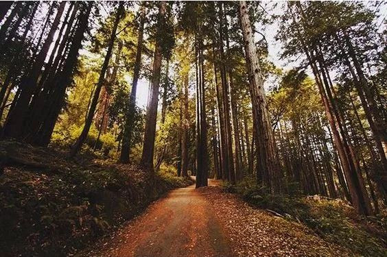 如果你也爱徒步？那你又多了一个理由爱上圣何塞