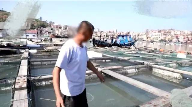 女记者被查房后续报道,女记者暗访被谋杀后续