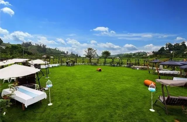 成都可以带娃钓鱼烧烤的农家乐,推荐好的农家乐成都