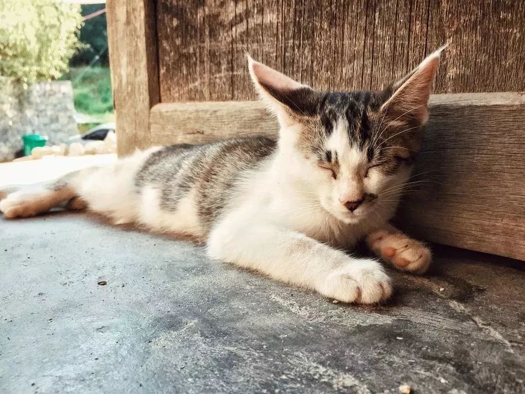 洛阳隐藏在山里的民宿,洛阳竟藏着这么一个绝美之地