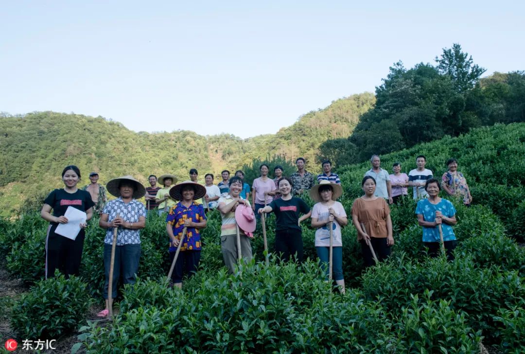 东方财富2016年,东方ic年度排名