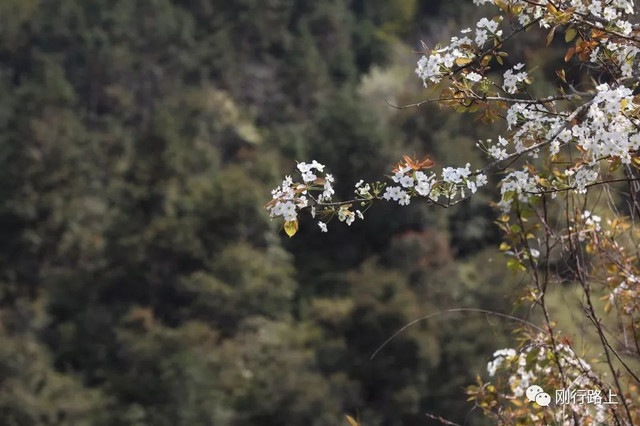 去福建土楼要先去哪个景区游玩,福建土楼永定土楼值得去吗