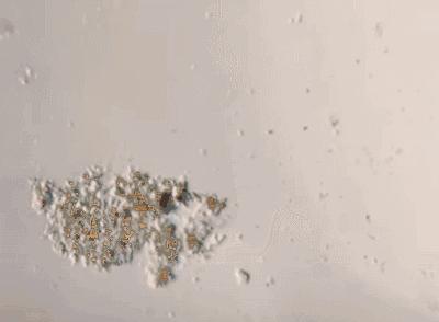 怎样去除女裤内裆异味,内衣裤处瘙痒小妙招