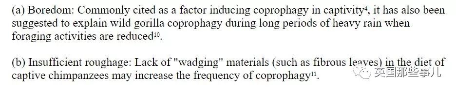 兔兔这么可爱为什么要吃它,兔兔这么可爱为什么要吃兔兔呢