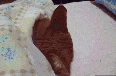 早上晨练过早有什么不好,早起晨练注意什么