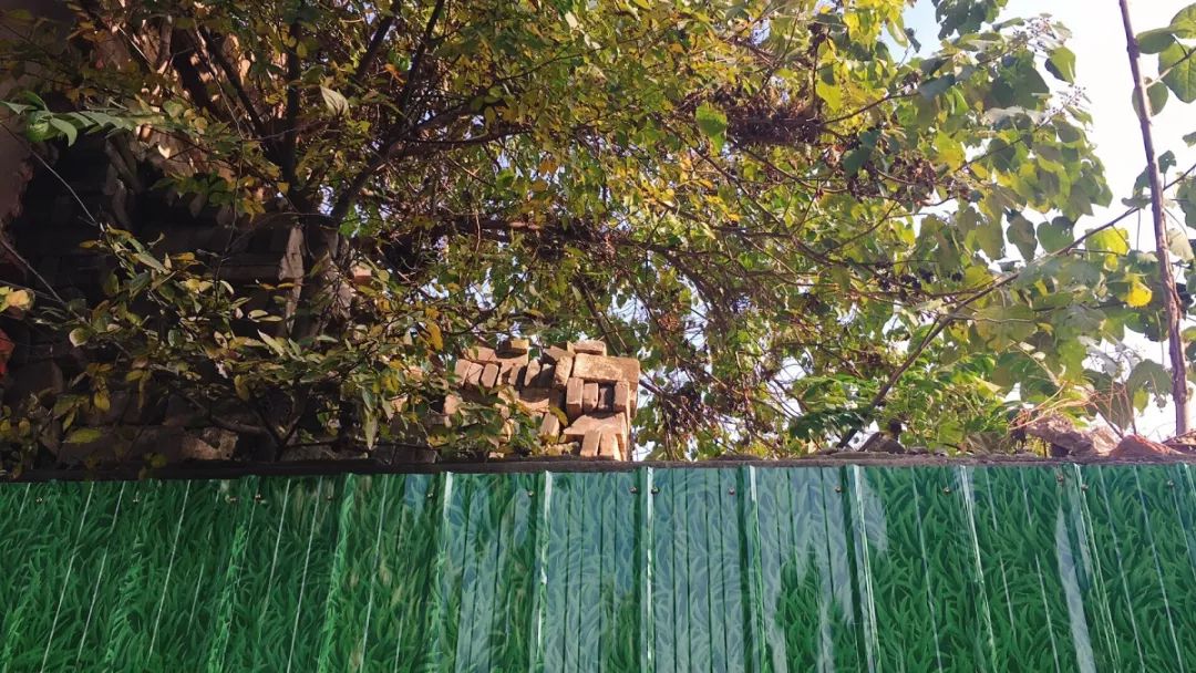 城隍庙老照片,临泉城隍庙的历史