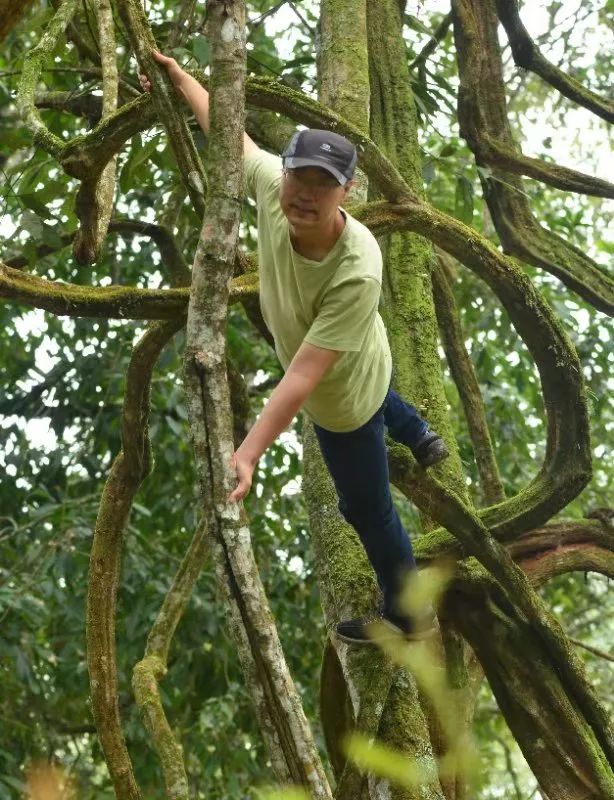 所有人，请领取这份中国自然教育巅峰论坛邀请函！