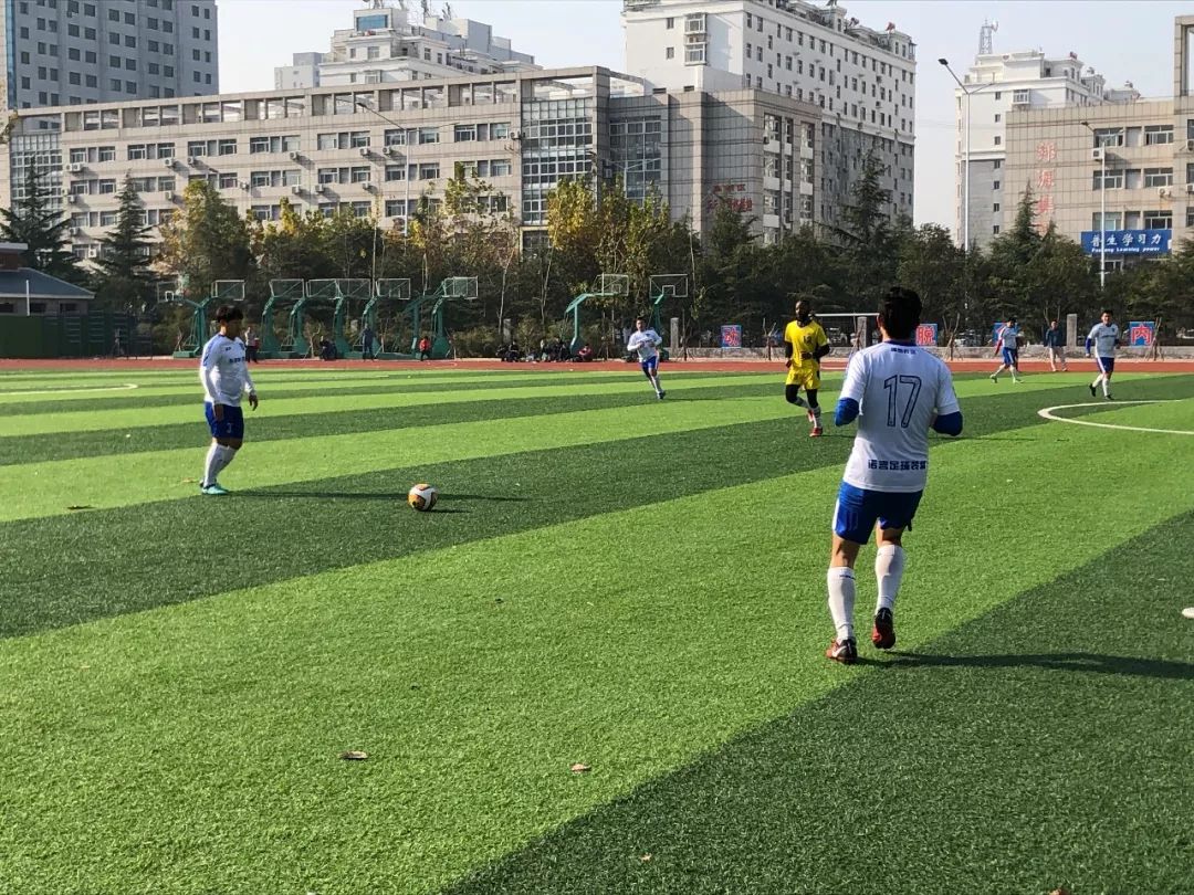 好球体育直播在线观看免费,好球体育官网