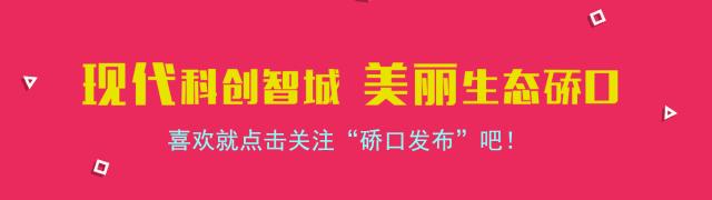 追风少女足球挑战赛,硚口区校园足球联赛2024