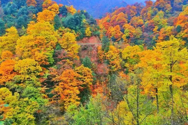 巴中风景区排行榜前十名,巴中网红打卡