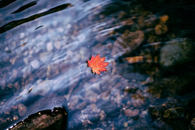 十一不能出去看风景,十一出去看世界