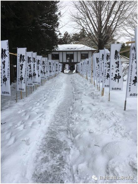 开挂的人生小说后续,羽生结弦冰上王子