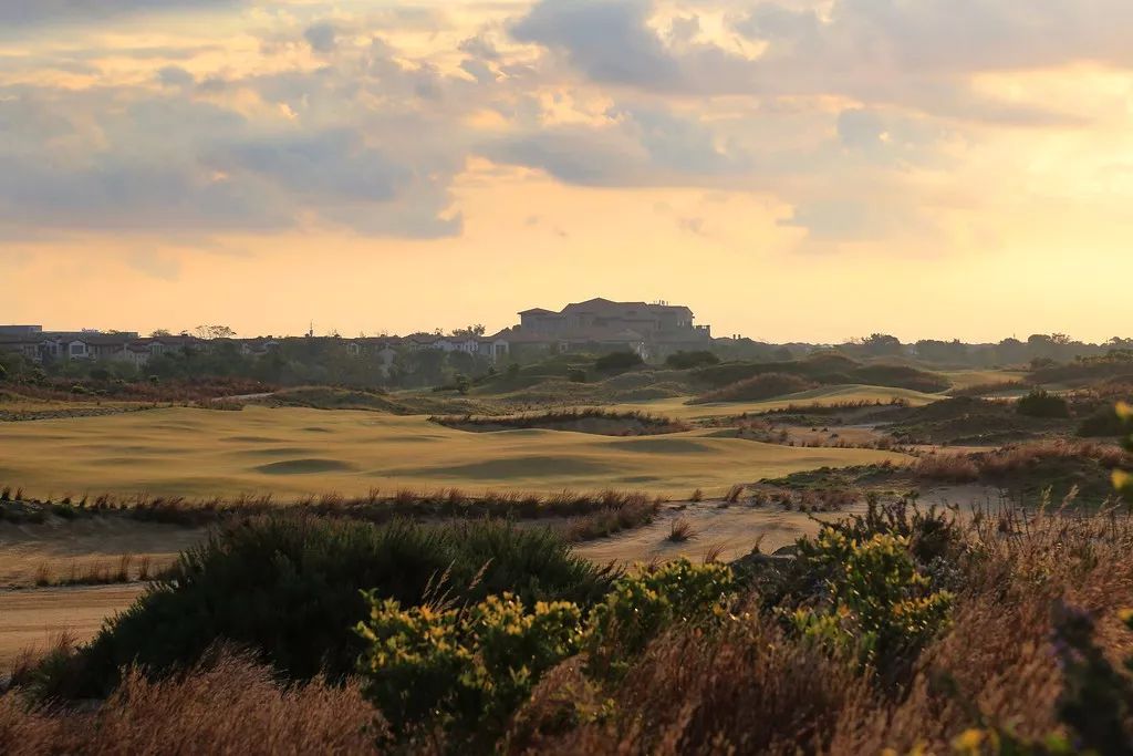 林克斯球场风格沙坑,林克斯风格球场