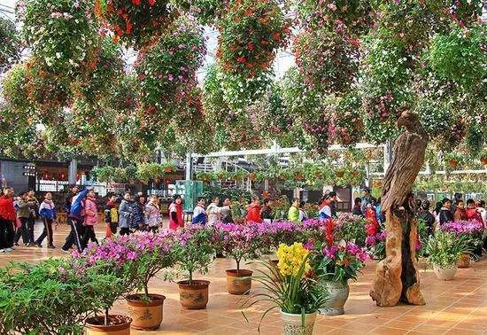 明天正式开通使用！含飞马水城、动物园、暖暖亲子餐厅！锡澄宜三地合作市民卡“2.0”版来了！