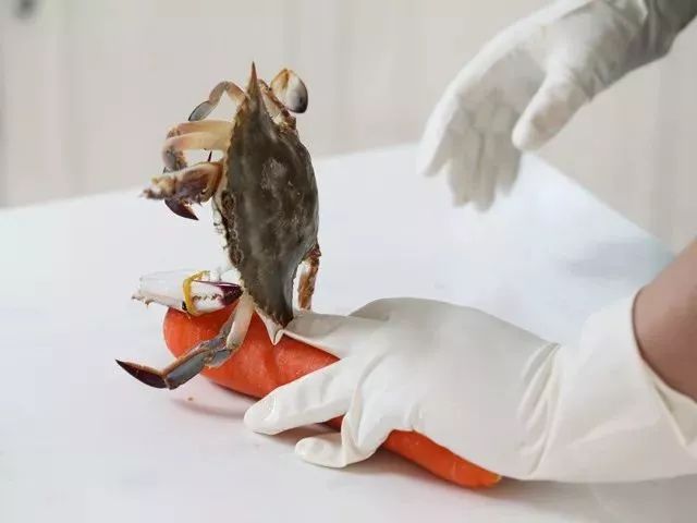 sos德国创可贴,德国sos腰部热敷贴