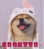 妈妈突然来月经,妈妈已经绝经1年了突然又来了