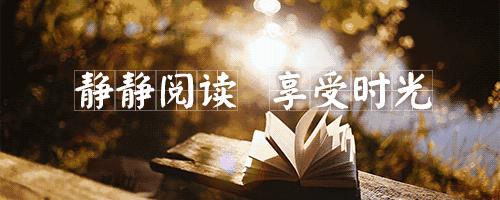 白先勇寂寞的十七岁在线阅读,白先勇寂寞的十七岁简介