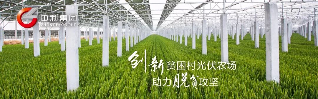 快10年了，定价机制缺位，“大多数煤制气企业根本生存不下去”