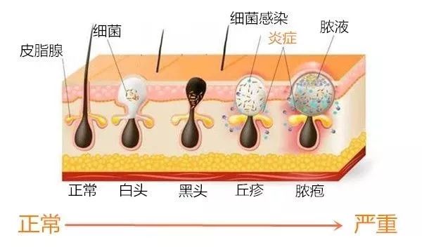 到底做错了什么,究竟做错了什么该怎么对待
